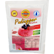 Dia-Wellness Puncs Puding 70g.